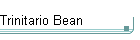 Trinitario Bean