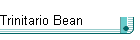 Trinitario Bean