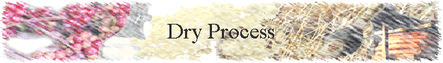 Dry Process