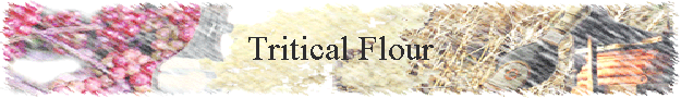 Tritical Flour
