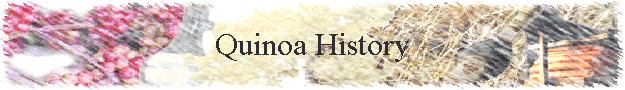 Quinoa History