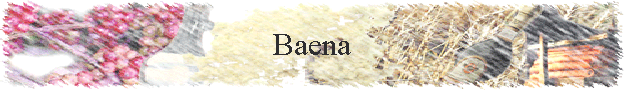 Baena