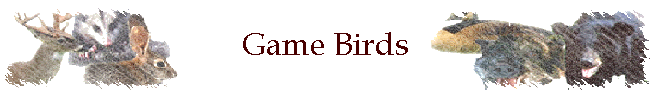Game Birds