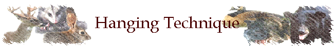 Hanging Technique