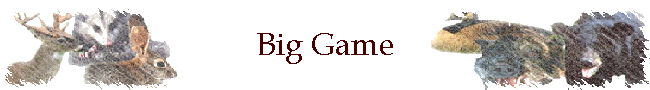 Big Game