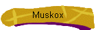 Muskox
