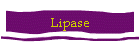 Lipase