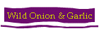Wild Onion & Garlic
