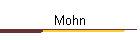Mohn