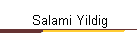 Salami Yildig
