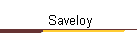 Saveloy