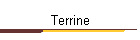 Terrine