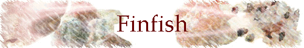 Finfish