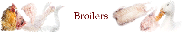 Broilers