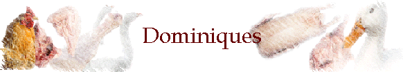 Dominiques