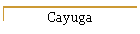 Cayuga