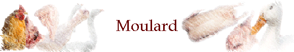 Moulard