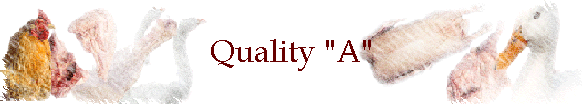 Quality "A"
