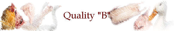 Quality "B"