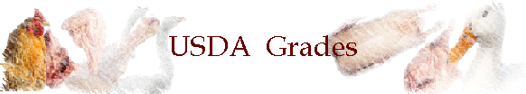 USDA  Grades