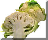 cauliflower.jpg (382373 bytes)