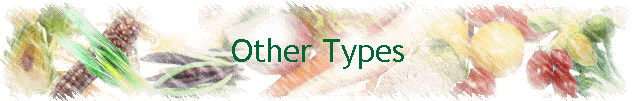 Other Types