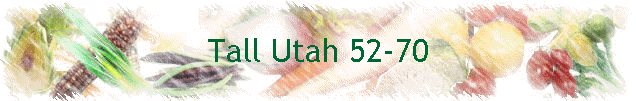 Tall Utah 52-70