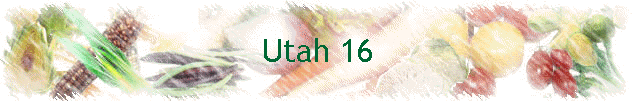 Utah 16