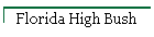 Florida High Bush