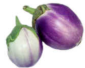 eggplant_rosa_bianco.jpg (16985 bytes)