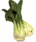 Bok Choy.jpg (28990 bytes)