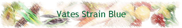 Vates Strain Blue