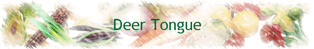 Deer Tongue