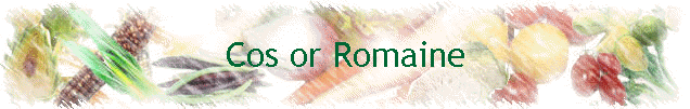 Cos or Romaine