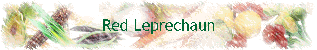 Red Leprechaun