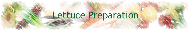 Lettuce Preparation