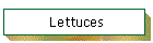Lettuces