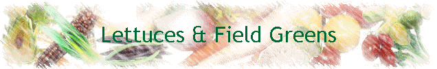 Lettuces & Field Greens