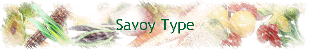 Savoy Type