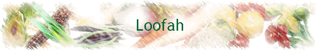 Loofah