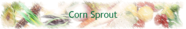 Corn Sprout