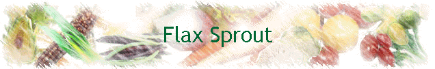 Flax Sprout