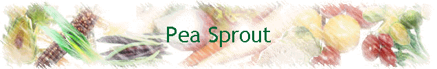 Pea Sprout