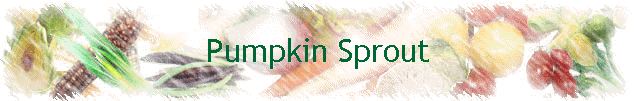 Pumpkin Sprout