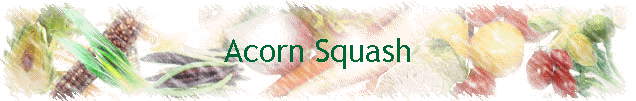 Acorn Squash