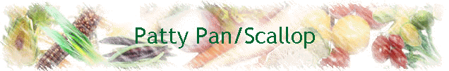 Patty Pan/Scallop