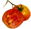 Tomato Mr.Stripy Cut.jpg (161782 bytes)