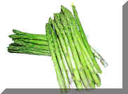 Asparagus B.jpg (132300 bytes)