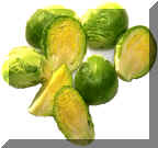 Brussel Sprout_small.jpg (62155 bytes)