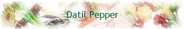 Datil Pepper